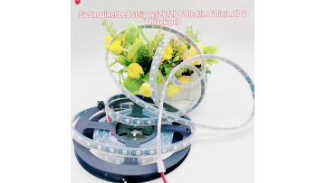 5V 5M Pixel LED Strip WS2812b 60LED IP67 Black PCB