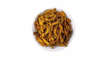 Coptis chinensis