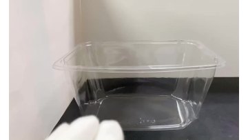 Salad Tub Container