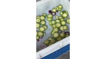 fruit vegetable slicing machine