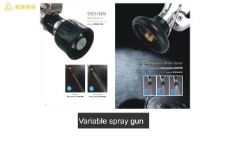 Dual Function Spray Gun