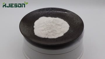 Bovine Trypsin