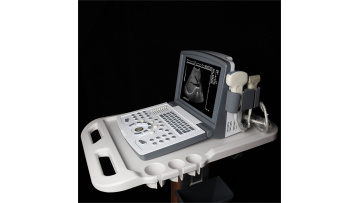 Black and white ultrasound scanner