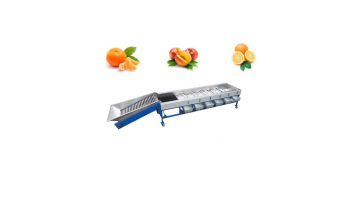 Peeling Cleaning Sterilizing Production Line For Peach