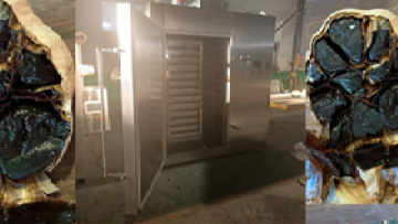 hy-400 black garlic machine