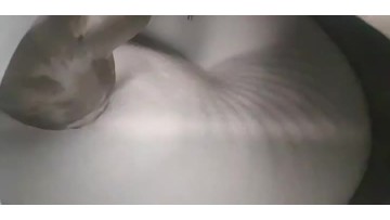 DSH