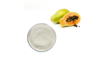 Youth Biotech EU Organic Papaya Extract Cheap Price Enzyme Papain1