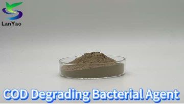 COD Degrading Bacterial Agent