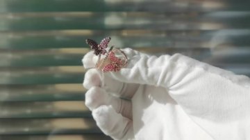 Trendy cubic zirconia copper 925 silver colorful butterfly ring1