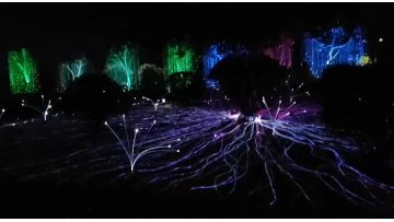 firefly light