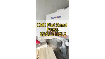 zero_rework_sds13h2l2_sand_press.mp4