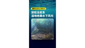 World Wetlands Day Explore serene wetland depths with Qianjiao Gladius MINI S — pure immersive underwater tranquility.
