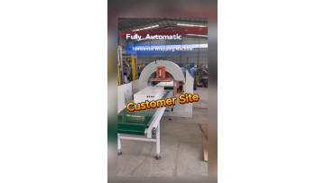 Fully Automatic Horizontal Wrapping Machine