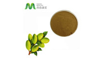 High quality hydroxytyrosol 80%polyphenols powder at Low Price1