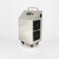 Pinuslongaeva H1 Movable 304 stainless steel 5 8 10 15 20 25 30g/h ozone machine ozone air water treatment o3 medical equipment