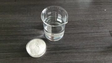 amylase enzymes