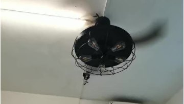 fan light black