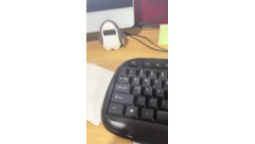 normal video