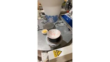 2 Color Pad Printing Machine for Ceramic Dishes Plates.mp4