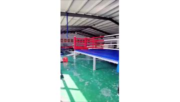 Professional Boxing Ring