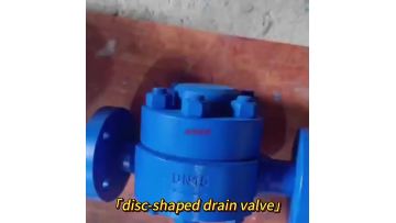 Disc Type Steam Trap