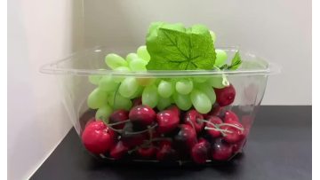 Salad Tub Container