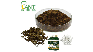 valerian root extract powder