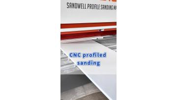 SDS13-Sanding the primer of furniture components