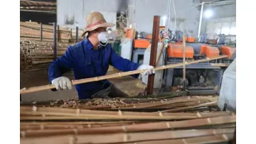 Disposable Bamboo Knives, Forks, Spoons1
