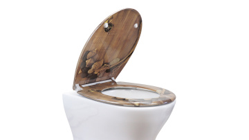 Toilet Seat UF819-42