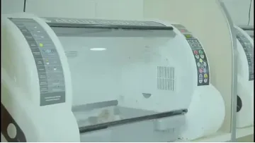 Veterinary Equipment Cheap Pet Incubator Pet ICU Incubator for Pet Clinic for Dog Puppy1
