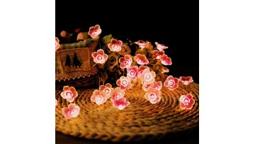 Remote Control Led music sync  5M 10M Copper Wire USB Outdoor Fairy Light Waterproof Christmas String Light1