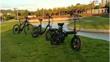 BK6 20 inch electric bike