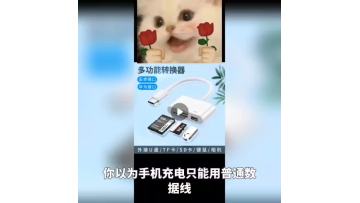 Lirui Lian TYPE-C Earphone Charge Adapter
