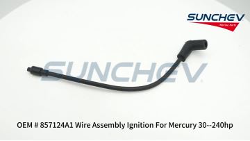 857124A1 Wire Assembly Ignition
