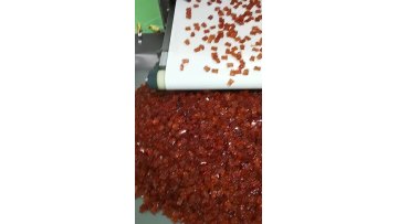 OEM Private Label Mushroom Complex Brain Gummies Supplement Energy Immune Support Memory Focus Brain Gummies1