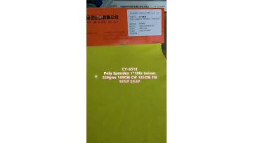 CY-6518 POLY SPANDEX 1*1 RIB VELVET