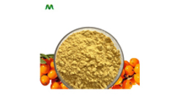 Food Grade Bulk Water Soluble Seabuckthorn Fruit Powder Extract1