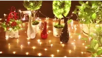 10M 20M 30V USB LED Copper Wire String Light With Online Switch For Holiday Party Event Wedding Indoor Outdoor Decoration1