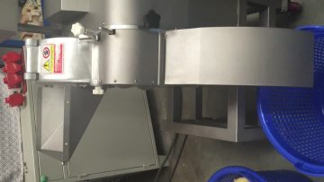 Slicing - Potato(10mm)