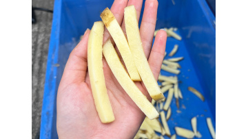ST-500 Small French Fry Cutting Machine  