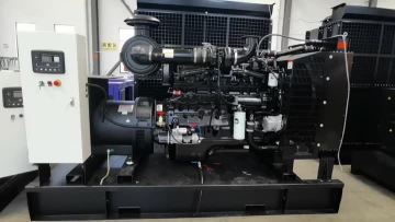 open type diesel generator (2)
