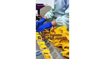 Keep Dried Fruits Safe & Stable – Portable Ozone for Cleaner Processing