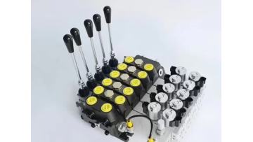 DYDCV100-5 Electro-Hydraulic Control Valve