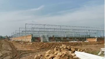 Multi Span Greenhouse