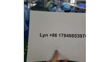 lyn production line video