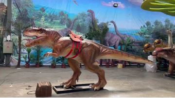 Tyrannosaurus Rex Costume