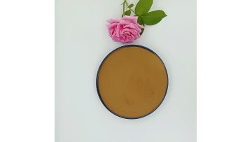 Tongkat Ali Root Extract Powder 