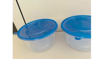 PP disposable meal box bowl