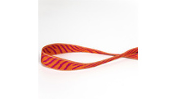 Nylon and Polyester Straps for Backpacks and Alpenstocks1